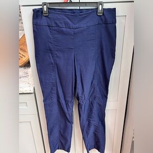 16 petite dress pants New directions